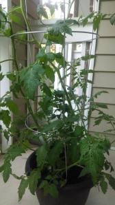 10361504_10152091421465683_4125792480379206143_n