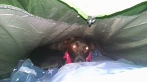 IMG_20141024_230615948