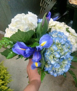 IMG_20160704_213453(1)