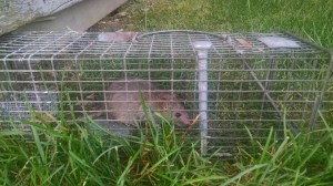 IMG_20170922_081410531